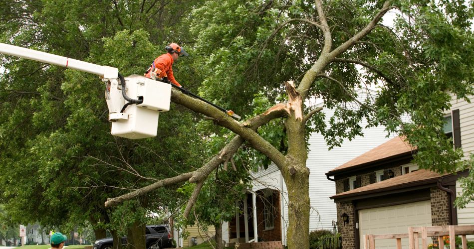Is Your Home Prepared for Spring Storm Season